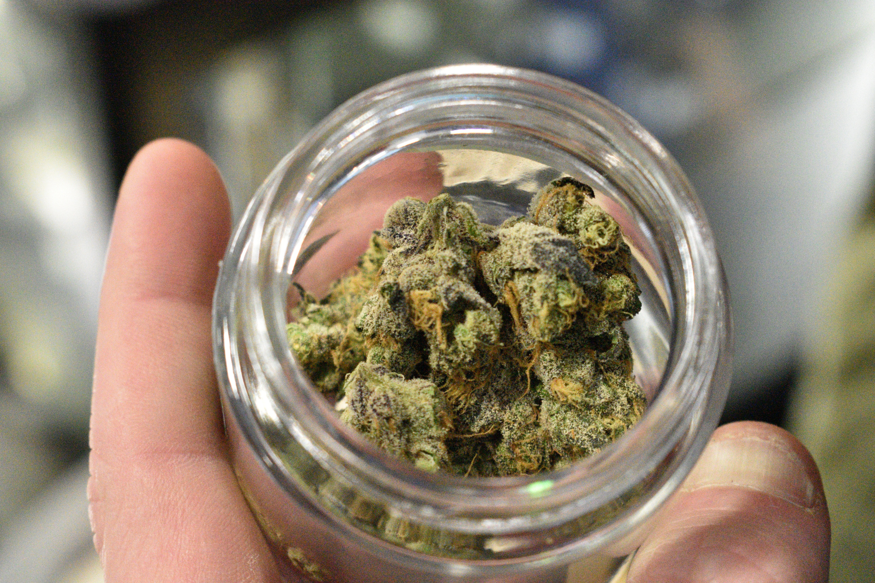 EmeraldCup2018DSC_0066_016