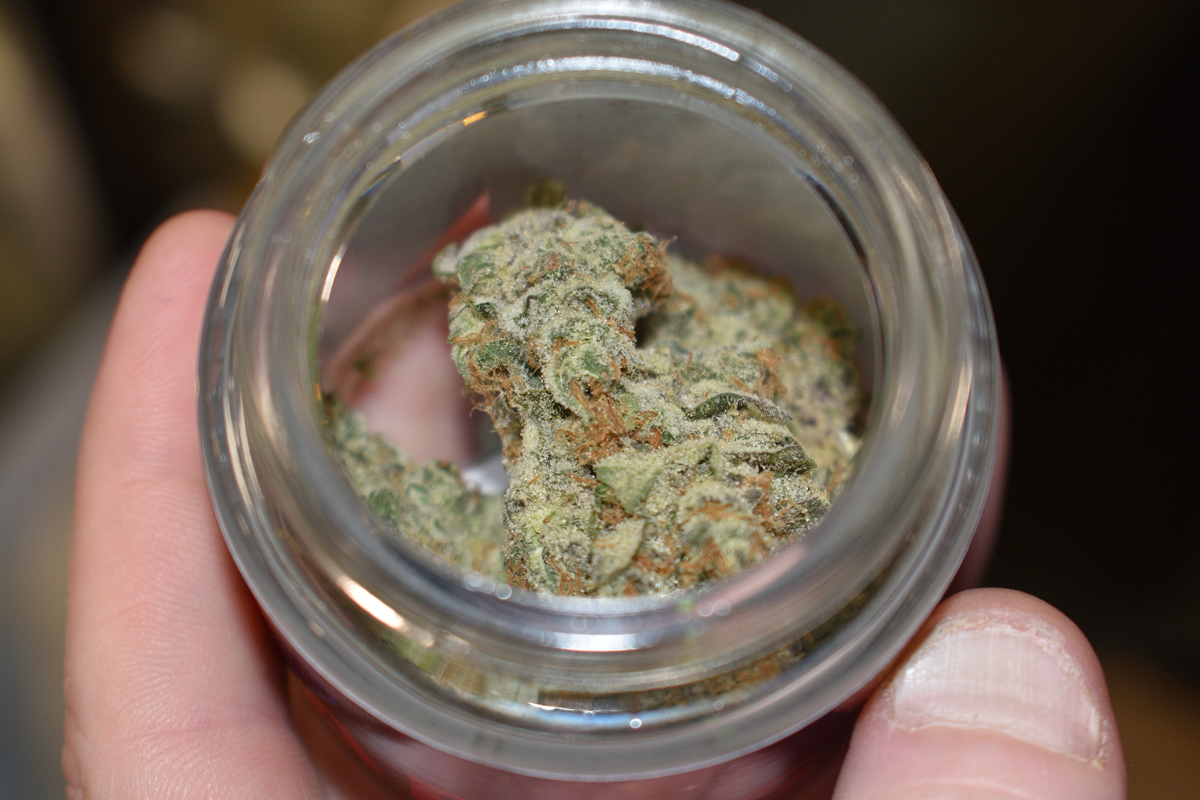 EmeraldCup2018DSC_0074_021