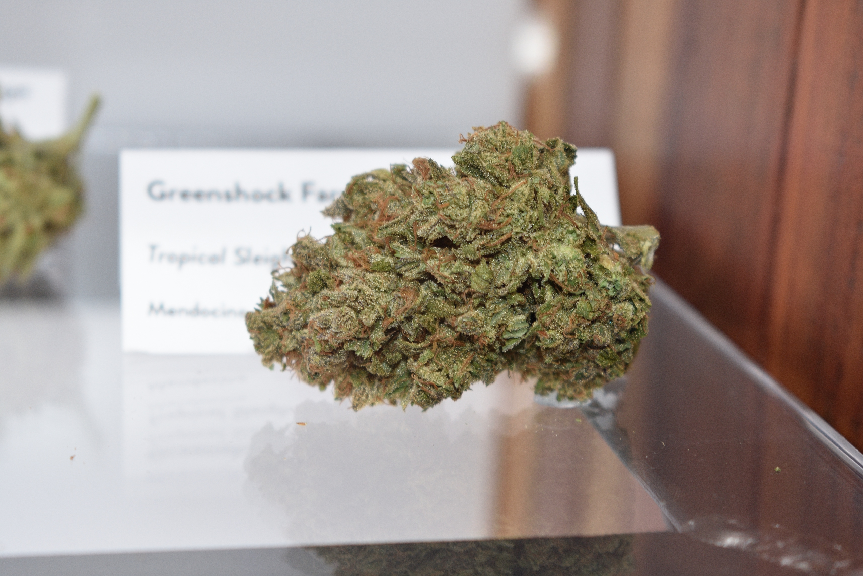 EmeraldCup2018DSC_0217_072